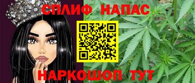 прущие грибы Кандалакша