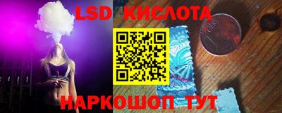 прущие грибы Кандалакша