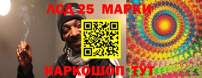гидропоника Камышлов