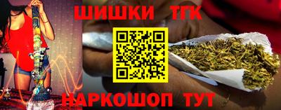 гидропоника Камышлов