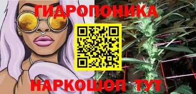 гидропоника Камышлов