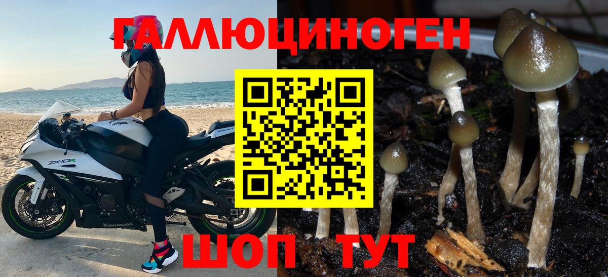 Галлюциногенные грибы MAGIC MUSHROOMS Избербаш